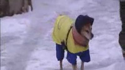 La nieve y el viento mantienen la alerta en Madrid y en otras 35 provincias