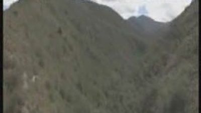 Logran sobrevivir gracias a su fortaleza