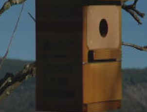 CAJASNIDO_2011227V0.wmv