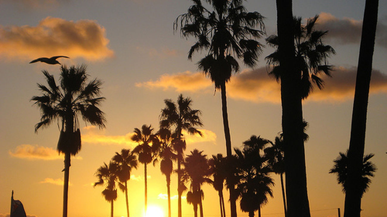 Las doradas playas de un atardecer en California
