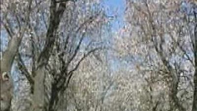 Uno de cada diez madrileños se resfría al menos tres veces al año