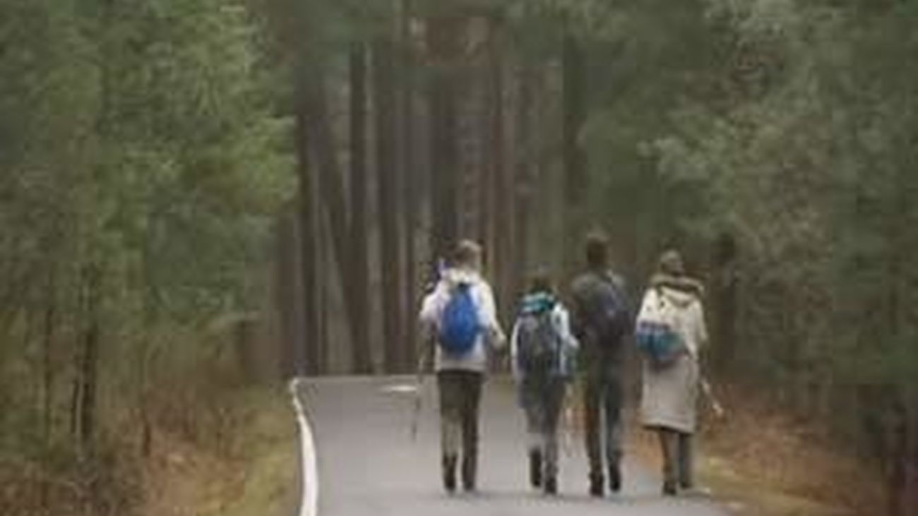 Escapada a Cercedilla