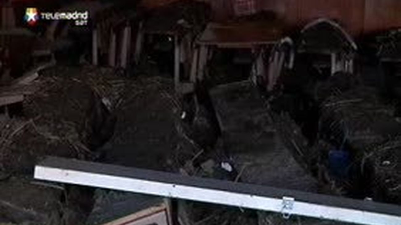 Un videoaficionado graba como el tsunami engulle un pueblo