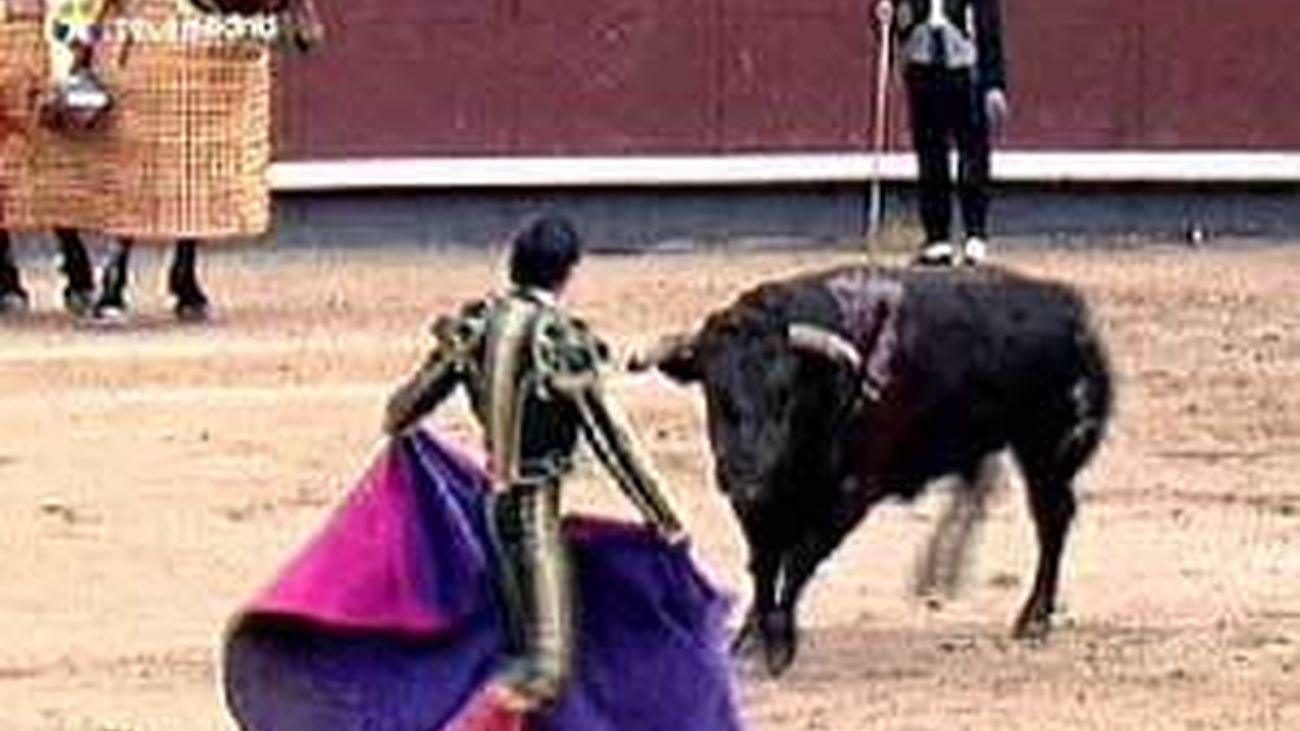 La Fiesta de los Toros ya es Bien de Interés Cultural en la Comunidad ...