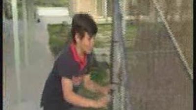 La Comunidad usa un videojuego para educar a futuros adoptantes de mascotas