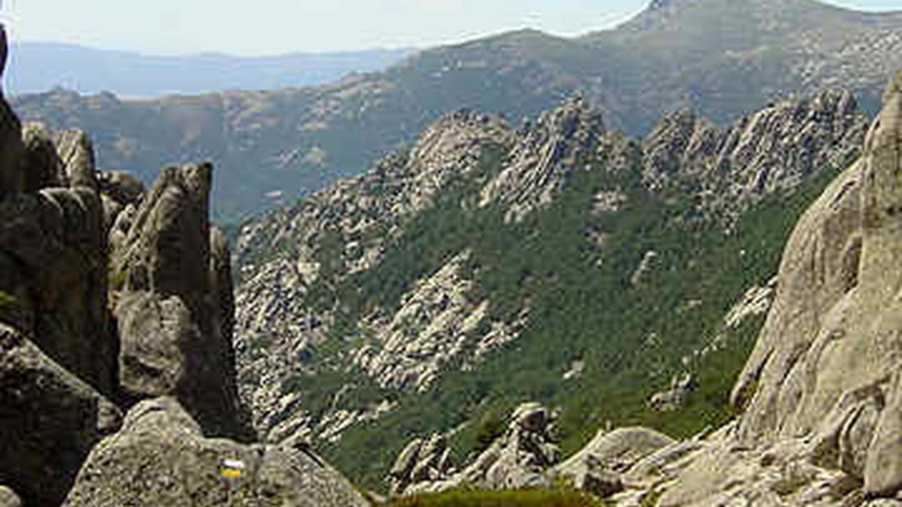 Fallece un hombre de 70 años  en La Pedriza tras ser embestido por una vaca