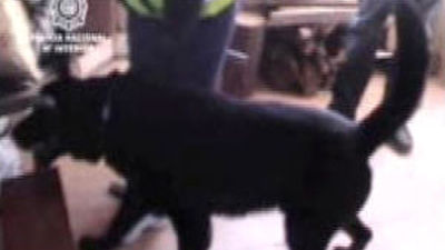 Desarticulado otro clan familiar  dedicado al 'menudeo' de droga en la Cañada Real