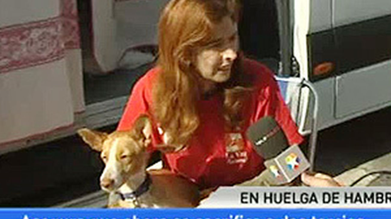 En huelga por los animales de Getafe