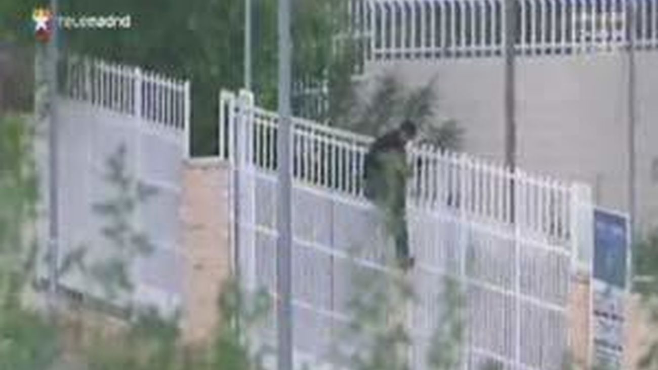 Roban lo que los demás tiran