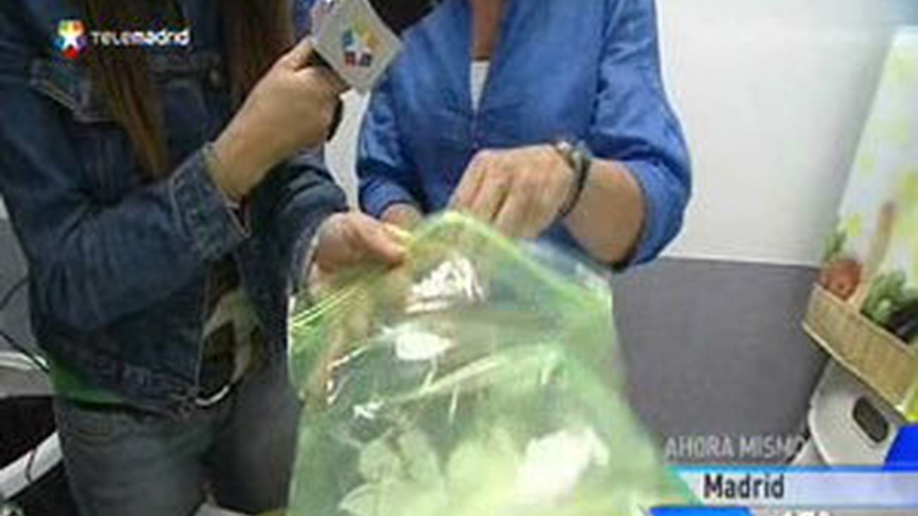 Consejos prácticos para conservar la comida