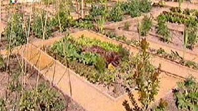 Los huertos de Montecarmelo integrarán a personas con discapacidad intelectual