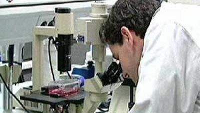 Una "sala blanca" para la investigación de la recuperación del daño medular