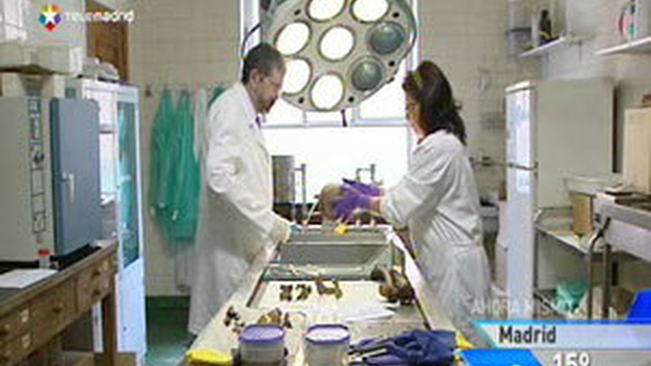 Nuevo Banco Óseo de la Región