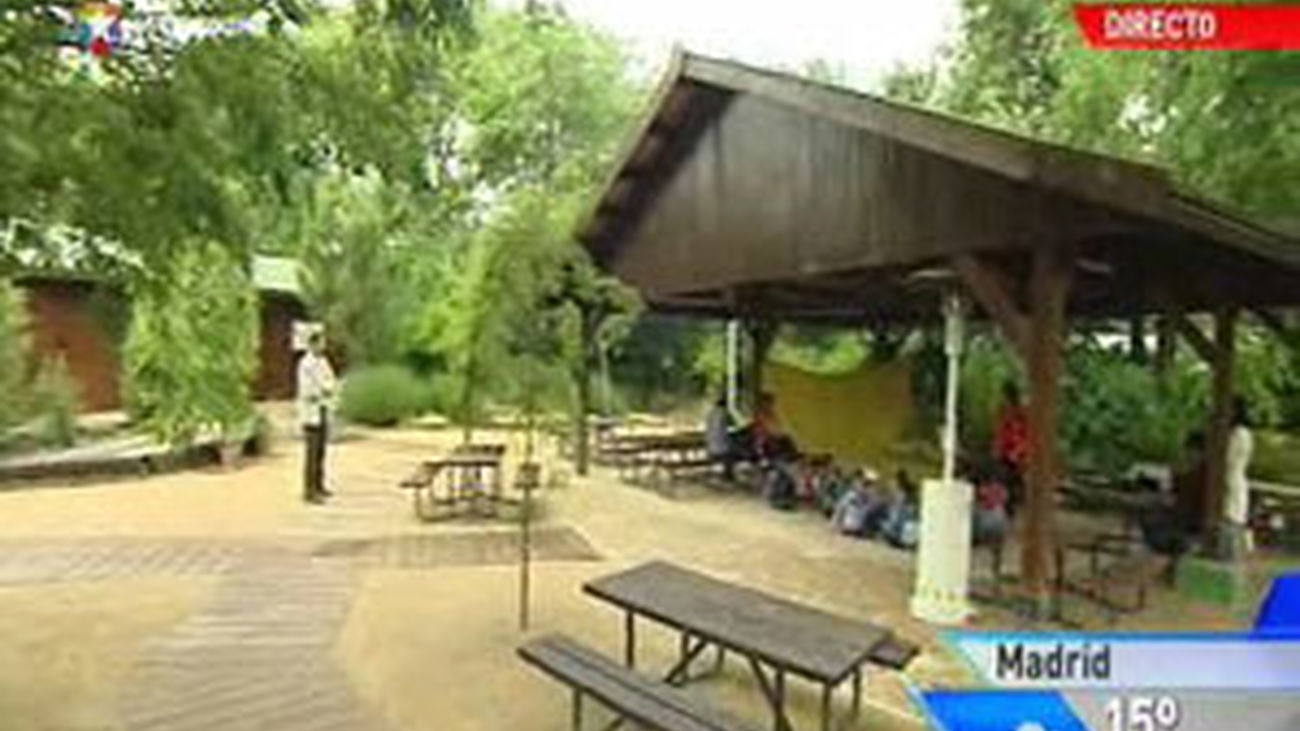 Un colegio muy especial