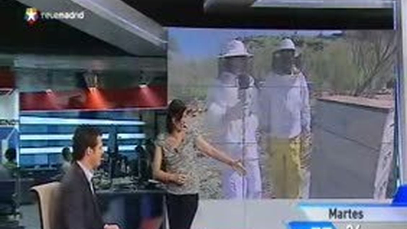 Hablamos de la epilepsia 2