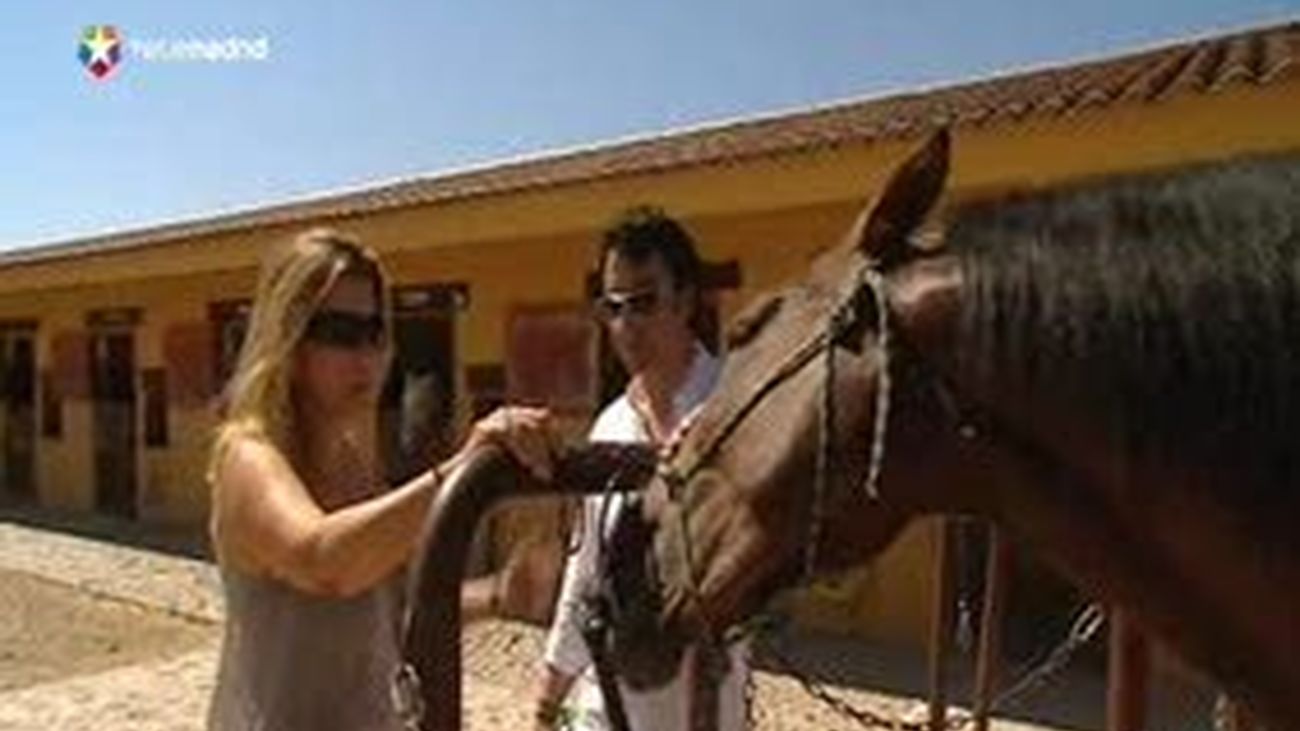 Cómo dominar a un caballo