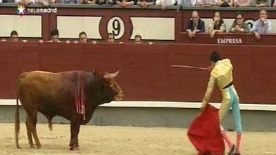 San Isidro 2011: 14º de la Feria