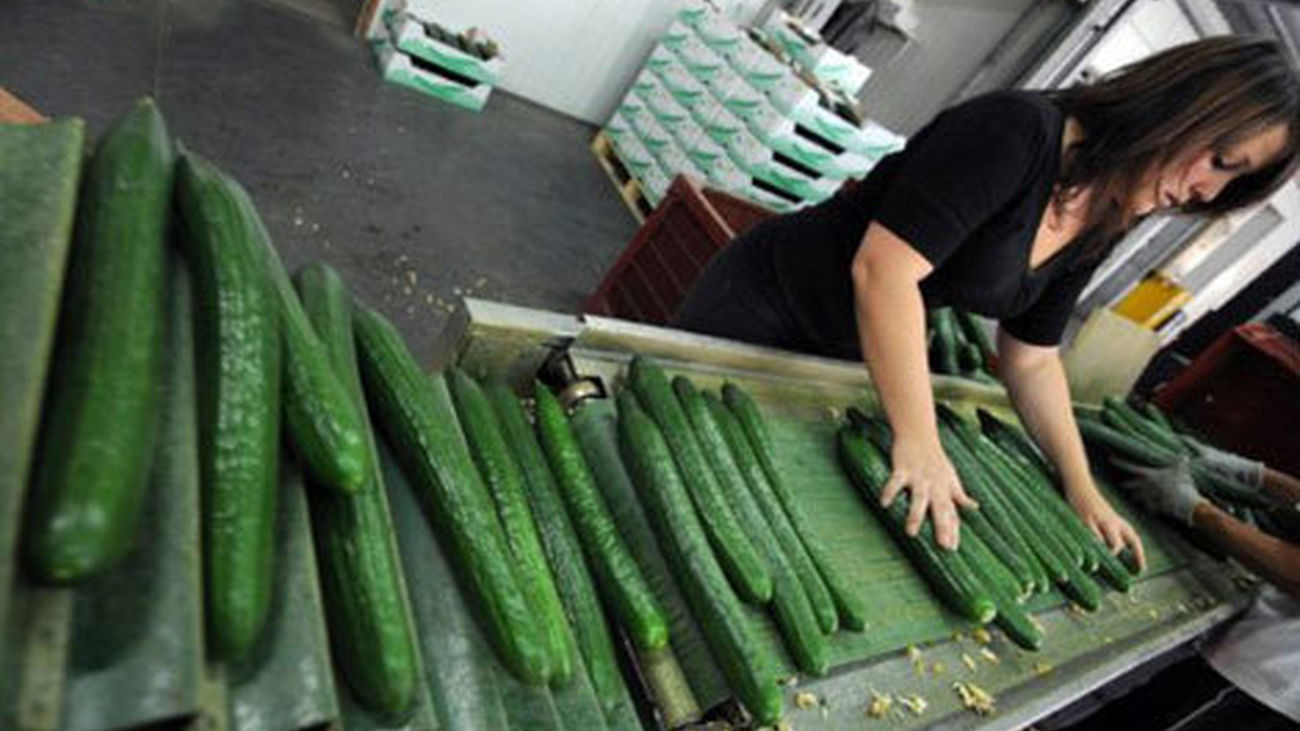 Alemania dice ahora que los pepinos españoles no son los culpables del brote