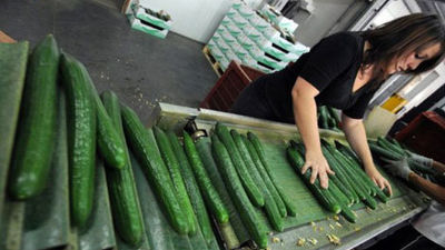 España no demandará a Alemania por la 'crisis del pepino'