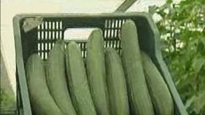 La crisis del pepino se traslada a los mercados españoles