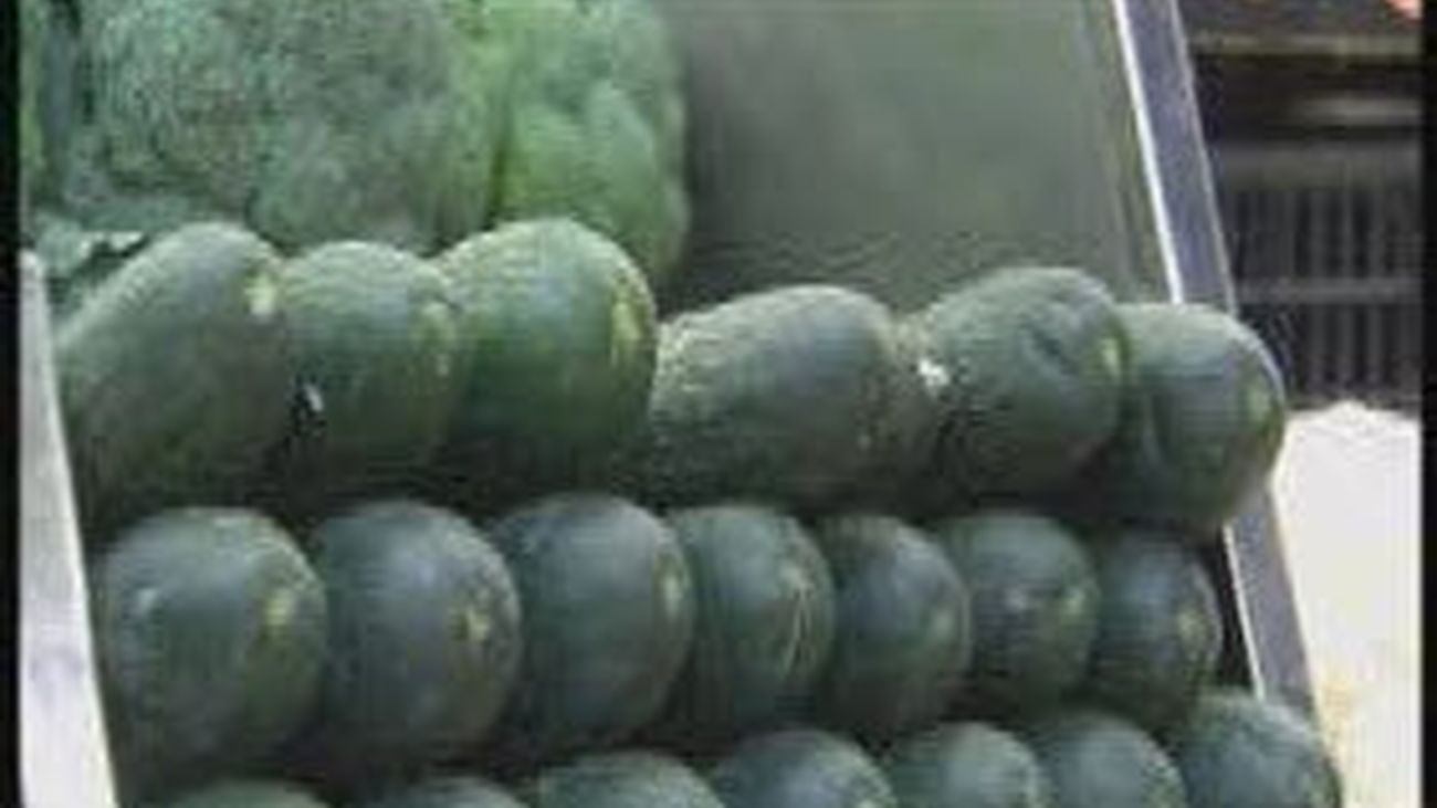 Alemania no rectifica en la "guerra del pepino"