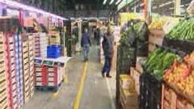 En Mercamadrid el precio del pepino ha bajado a la mitad