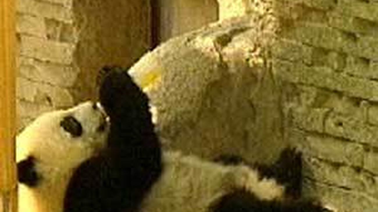 El Ayuntamiento centra la promoción de ocio durante el verano en las actividades familiares