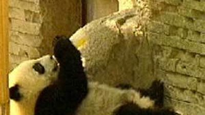 El Ayuntamiento centra la promoción de ocio durante el verano en las actividades familiares