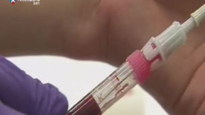 La UE decidirá este martes las ayudas al sector hortofructícola español por la crisis del pepino