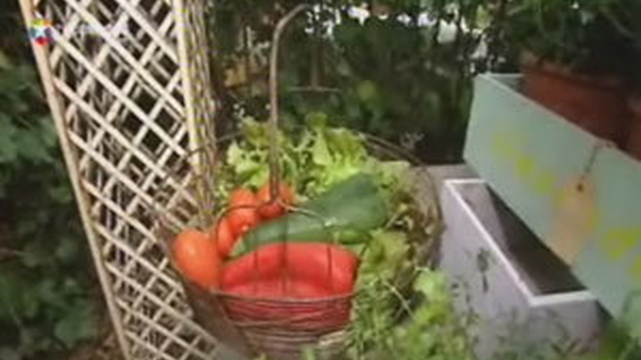 Cómo montar un huerto en casa