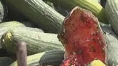 Alemania: Hallan pepino con la variante letal de "E.coli" en la basura de una familia afectada