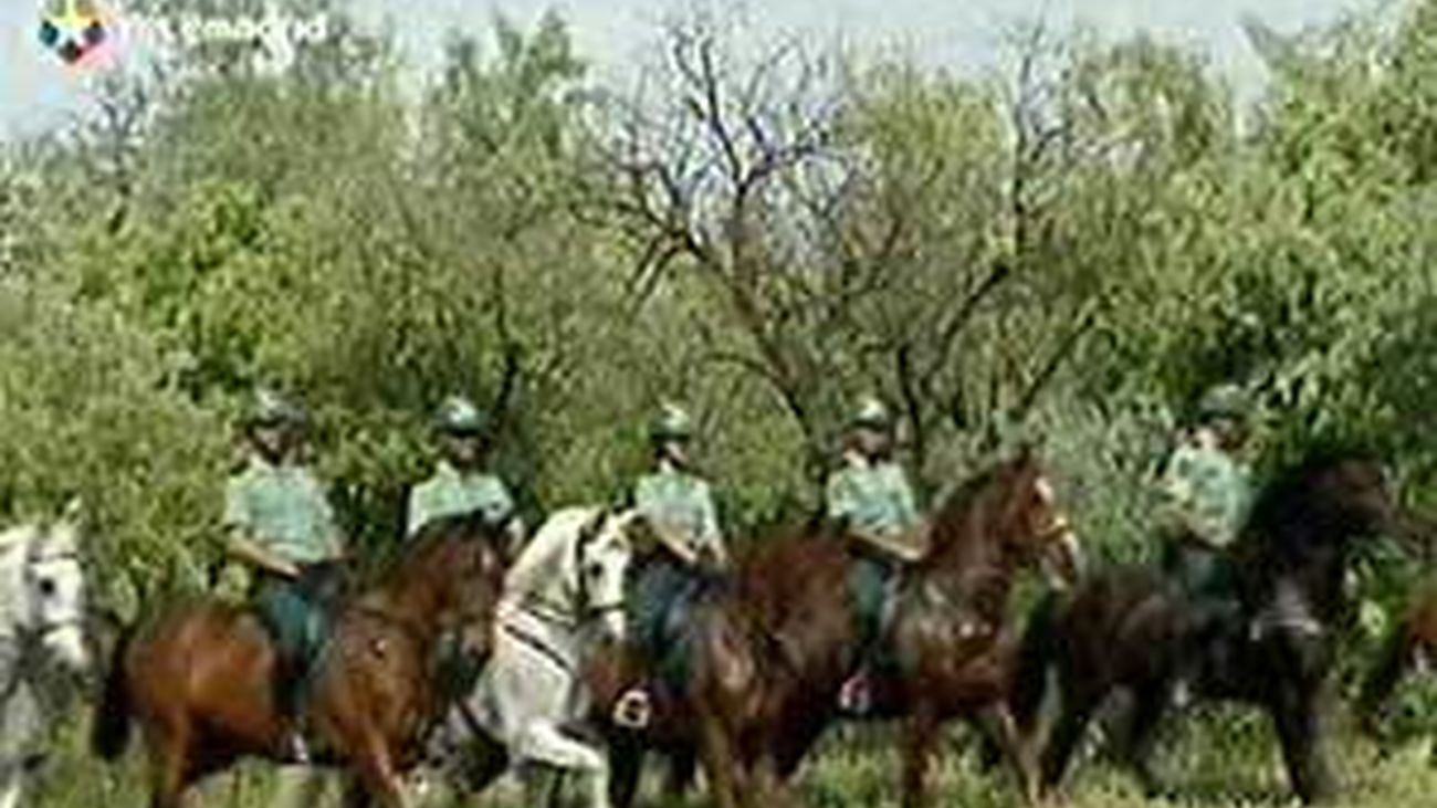 Infructuosa batida vecinal en Valdemoro para localizar a un anciano con alzheimer desaparecido