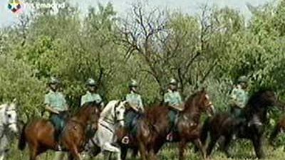 Infructuosa batida vecinal en Valdemoro para localizar a un anciano con alzheimer desaparecido