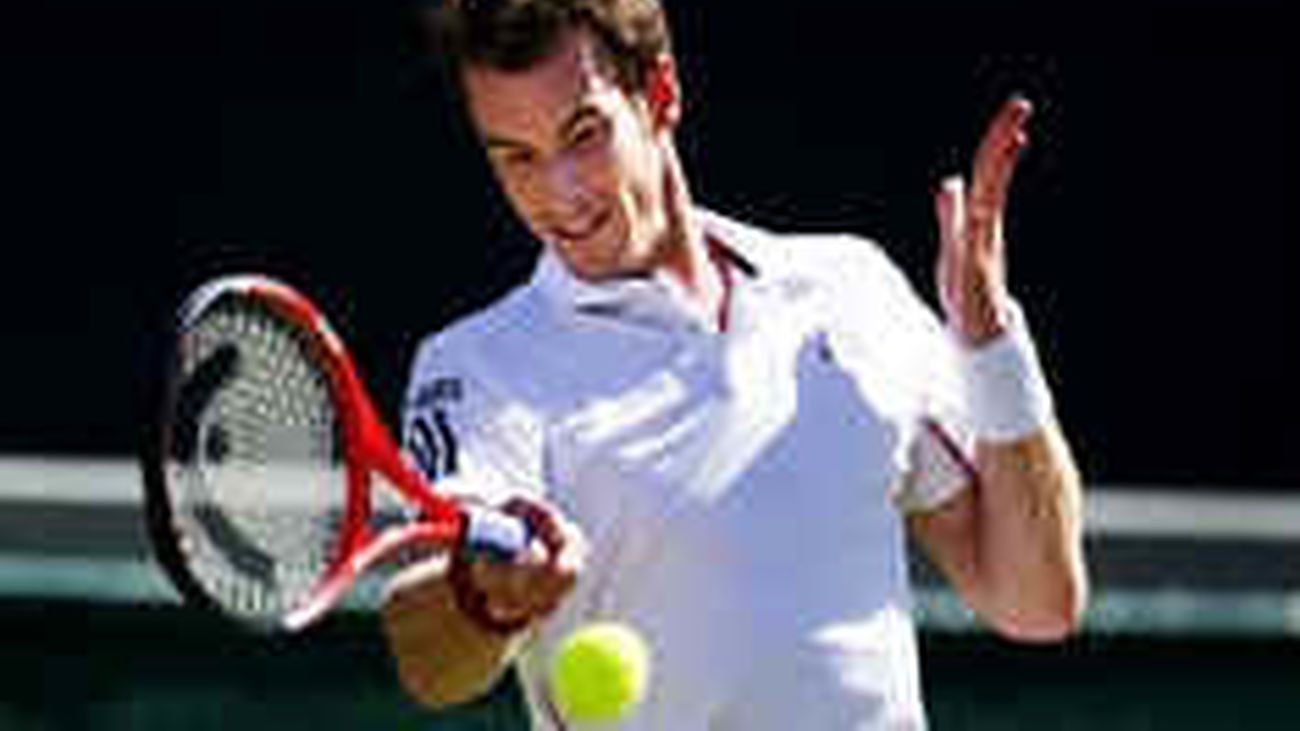 Murray y Tsonga jugarán la final de Queens