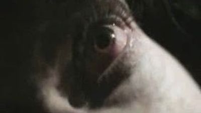 Los madrileños Sôber regresan tras 7 años con nuevo disco