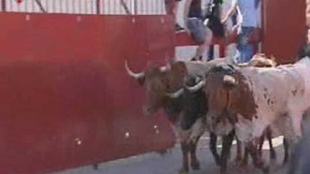 Los encierros desde dentro