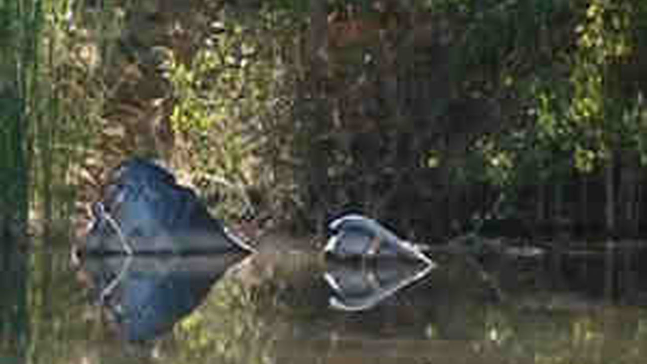 Trágico final de una noche de borrachera de cuatro amigos en Arganda