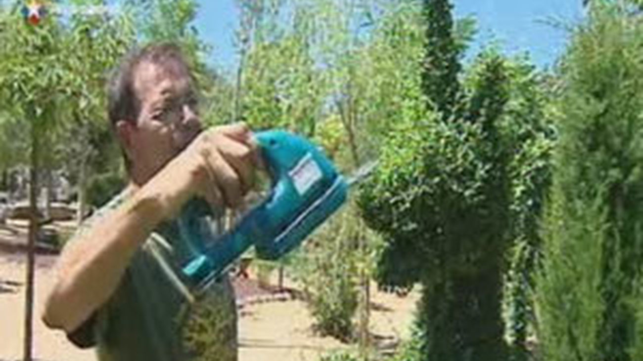 Un Eduardo manostijeras a la madrileña