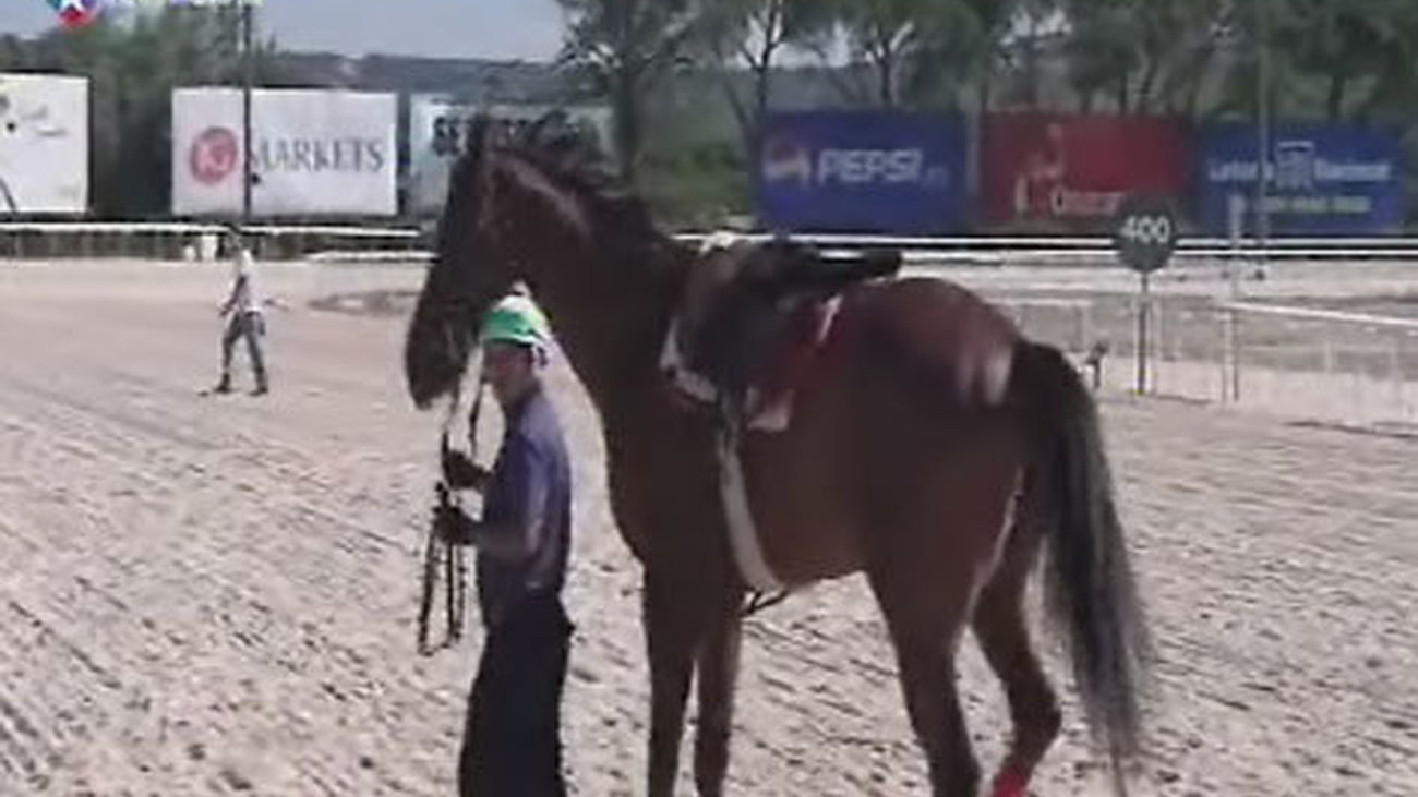 Últimas carreras de caballos