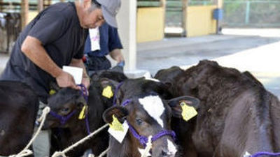 Detectan una de las brechas por donde entra agua a los edificios de Fukushima