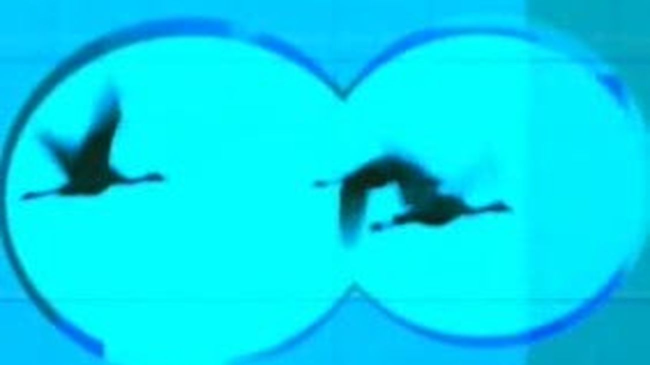 Instinto Animal 23.07.2011