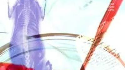 Instinto Animal 24.07.2011