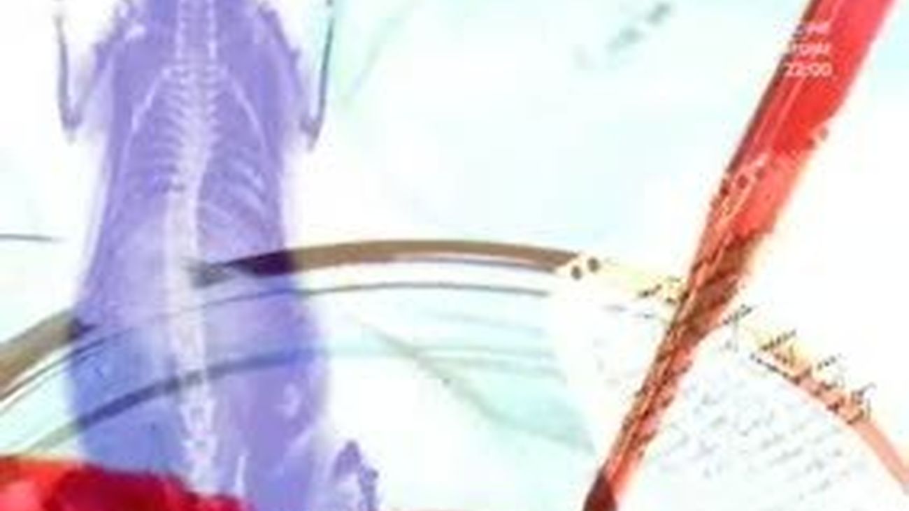 Instinto Animal 24.07.2011