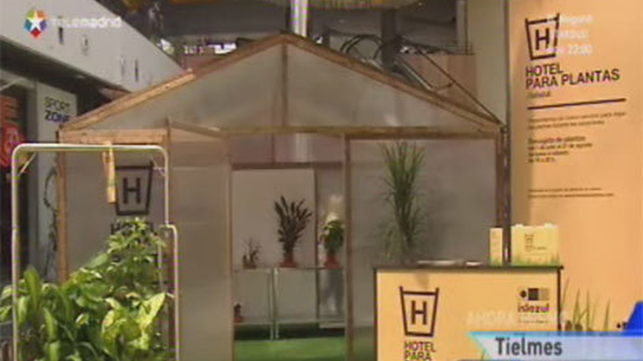 Un hotel para plantas
