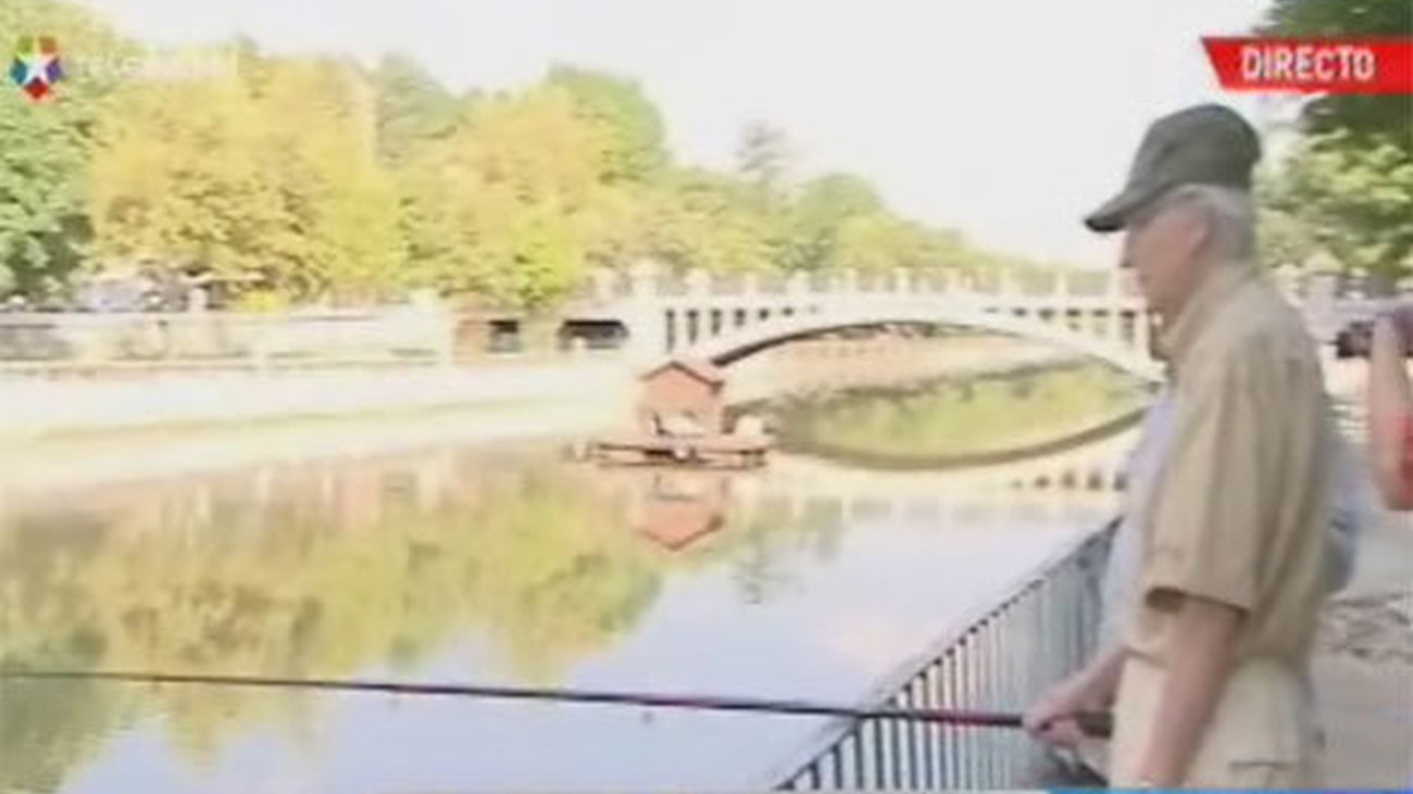 ¿Qué se pesca en el Manzanares?