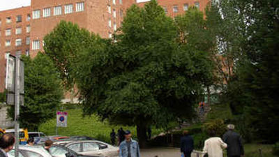 El primer madrileño de 2013