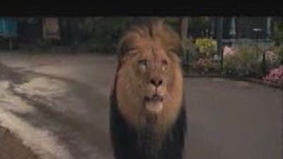 Un zoo con animales que tienen mucho que decir