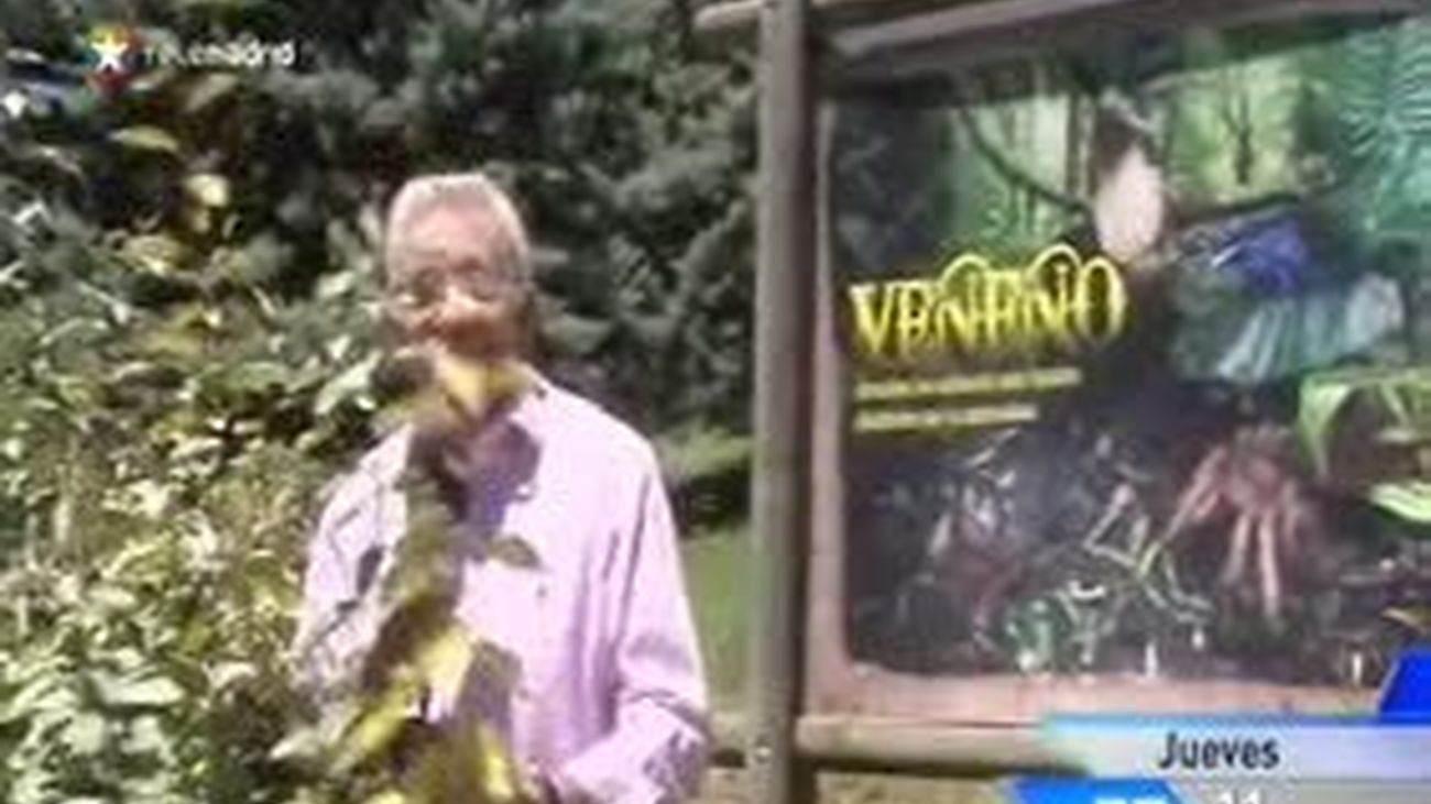 La salud al día en Faunia