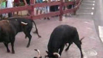 Un toro muere tras chocar con otro en el segundo encierro de Leganés