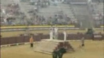 El toro Ratón podría ver el final de su carrera